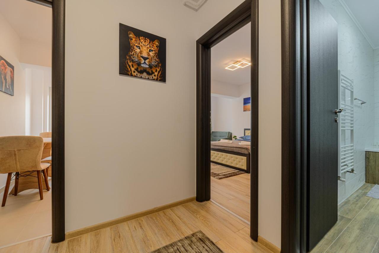Zen Apartments Брашов Экстерьер фото